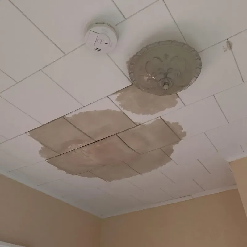 Ceiling Water Damage Repair in Woodbury Heights, NJ