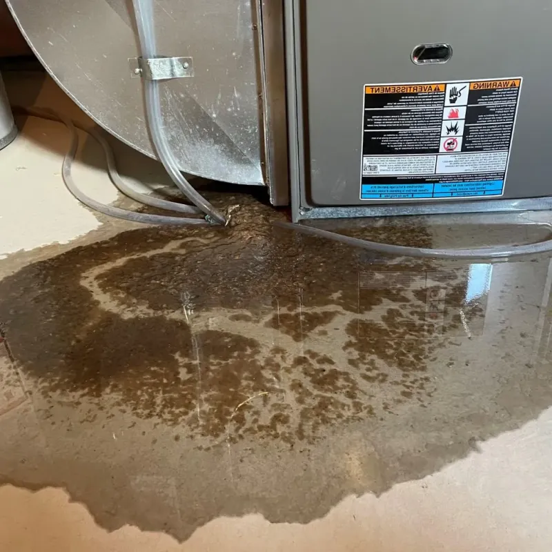 Pipe Burst and Leak Restoration in Woodbury Heights, NJ