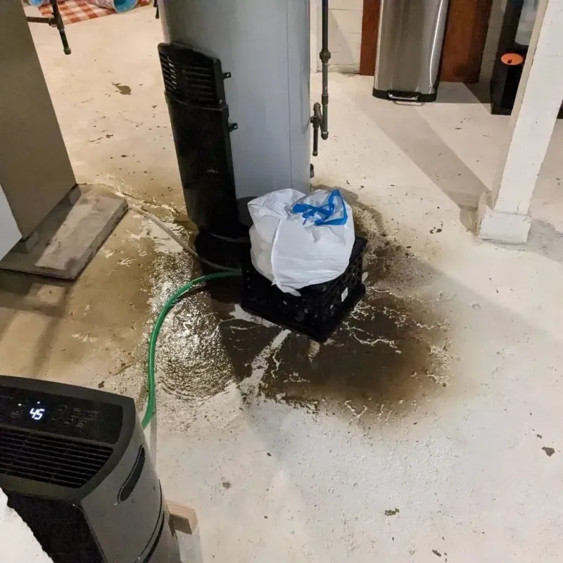 Sewage Backup Cleanup Service in Woodbury Heights, NJ
